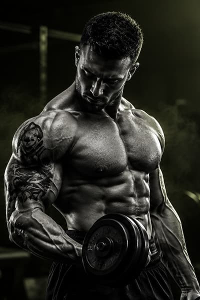 Logan Torque, trainer